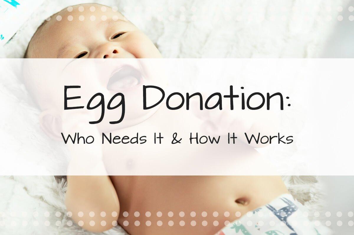 Egg Donation—Who Needs It & How It Works