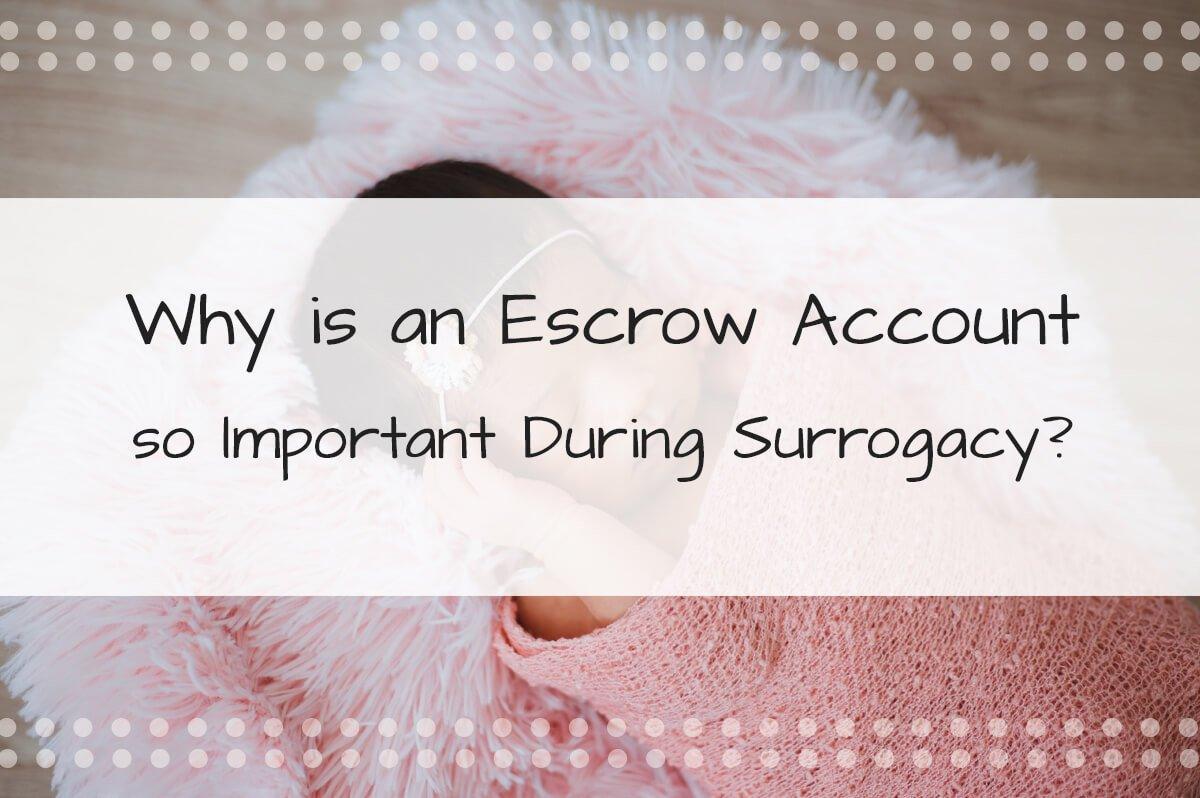 Why Is an Escrow Account so Important During Surrogacy?